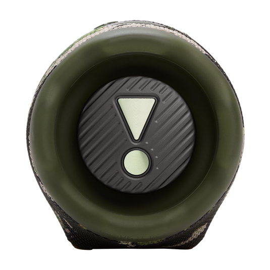 JBL Charge 6 Portable Bluetooth Speaker | Best Price in India - Image 6